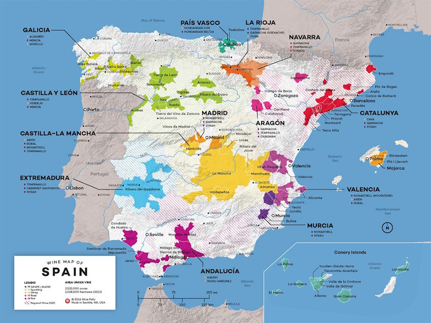 Descobrindo A Espanha Atrav S Dos Seus Vinhos Um Passeio Pelas